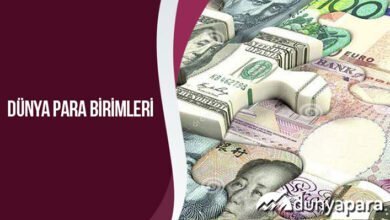 Dünya Para Birimleri