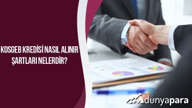 Kosgeb Kredisi Nasıl Alınır, Şartları Nelerdir?