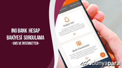 ING Bank Hesap Bakiyesi Sorgulama (Sms ve İnternetten)