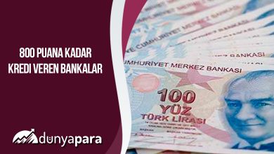 800 Puana Kadar Kredi Veren Bankalar