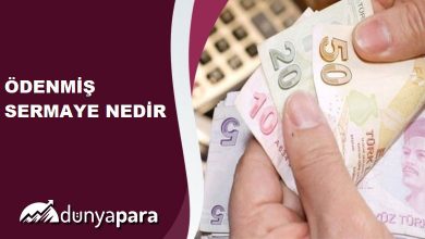 Ödenmiş Sermaye Nedir?